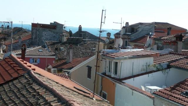 Casa Di Rose Otel Vrsar Oda fotoğraf