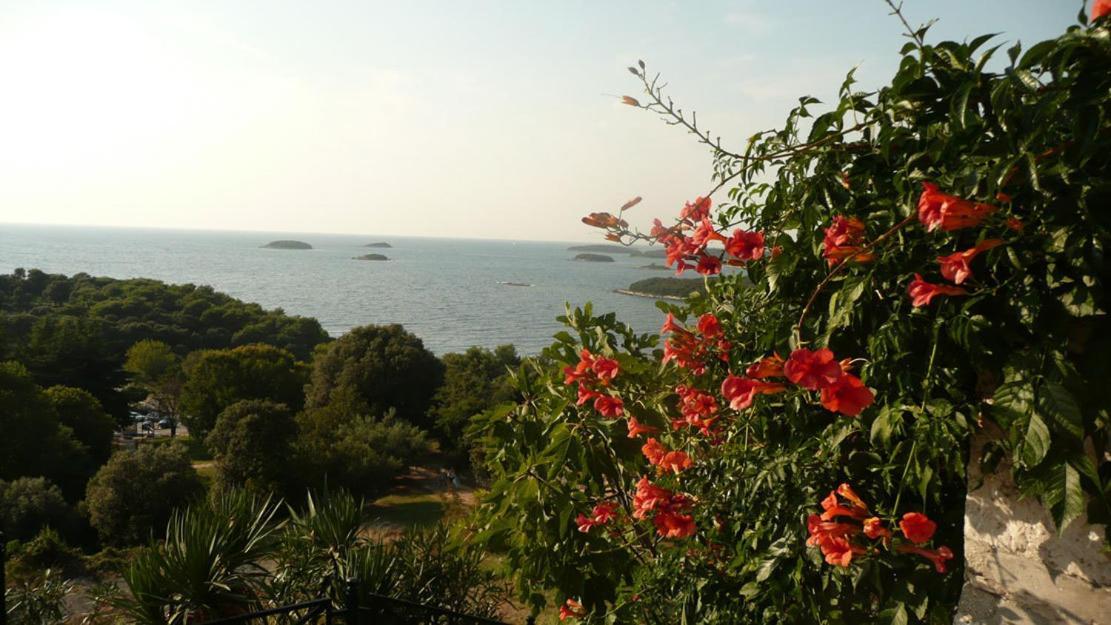 Casa Di Rose Otel Vrsar Dış mekan fotoğraf